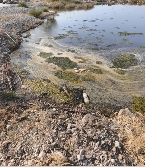 Πάτρα: Εισαγγελική έρευνα για βοθρολύματα σε τρεις θαλάσσιες περιοχές - Μετά από προσφυγή για τον κίνδυνο μόλυνσης ΦΩΤΟ