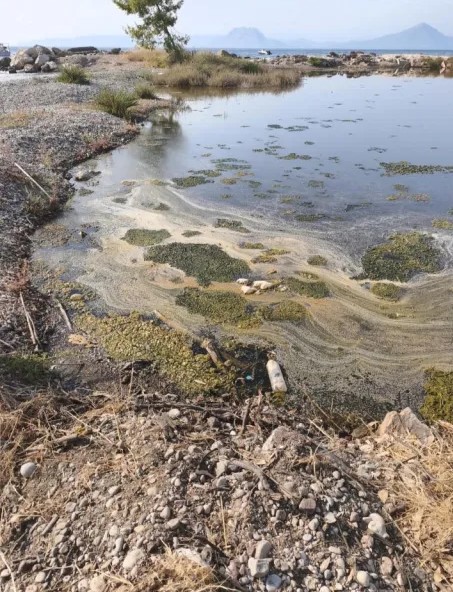 Πάτρα: Εισαγγελική έρευνα για ρύπανση σε τρεις θαλάσσιες περιοχές -Μετά από προσφυγή για βοθρολύματα - Απάντηση της Περιφέρειας ΦΩΤΟ