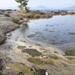 Πάτρα: Εισαγγελική έρευνα για ρύπανση σε τρεις θαλάσσιες περιοχές -Μετά από προσφυγή για βοθρολύματα ΦΩΤΟ