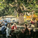 Αχαΐα: «Βούλιαξαν» παραλίες και μαγαζιά τον Δεκαπενταύγουστο – Η μεγάλη έξοδος έφερε κίνηση - Επαγγελματίες στο Patrapress