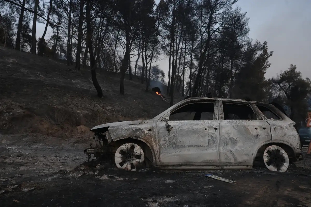 Χαλκιδική: Μετρούν τις πληγές τους μετά τη πυρκαγιά – Ζημιές σε σπίτια και υποδομές ΦΩΤΟ - ΒΙΝΤΕΟ