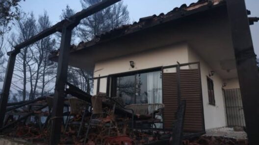 Χαλκιδική: Στον εισαγγελέα δύο υπεύθυνοι εργολάβοι του ΔΕΔΔΗΕ για τη φωτιά ΦΩΤΟ 14 Χαλκιδική: Στον εισαγγελέα δύο υπεύθυνοι εργολάβοι του ΔΕΔΔΗΕ για τη φωτιά ΦΩΤΟ
