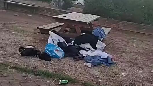 Αχαγιά: Κατάληψη δημόσιου χώρου και ρύπανση κοντά σε σχολεία ΒΙΝΤΕΟ