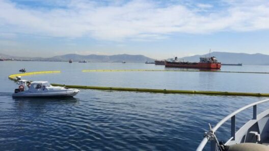 Φωκίδα: Ρύπανση στο λιμάνι της Αντίκυρας 12 Φωκίδα απεικονίζει τη ρύπανση στο λιμάνι της Αντικύρας