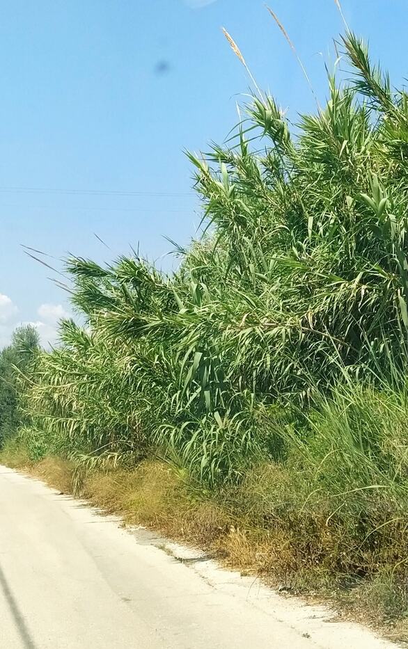 Πάτρα: Από 28 Αυγούστου δημότης περιμένει λύση σε πρόβλημα μέσω της πλατφόρμας Sense City ΦΩΤΟ 6 Πάτρα: Από 28 Αυγούστου δημότης περιμένει λύση σε πρόβλημα μέσω της πλατφόρμας Sense City ΦΩΤΟ
