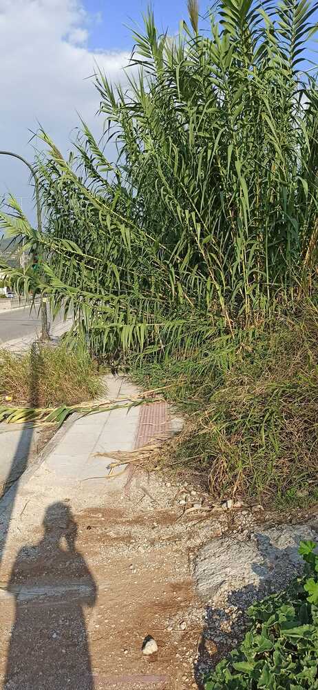 Πάτρα: Από 28 Αυγούστου δημότης περιμένει λύση σε πρόβλημα μέσω της πλατφόρμας Sense City ΦΩΤΟ