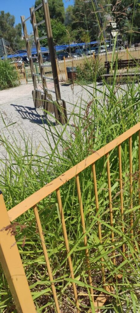 Πάτρα: Ακατάλληλη η παιδική χαρά στον ΑγιοΑλέξη ΦΩΤΟ