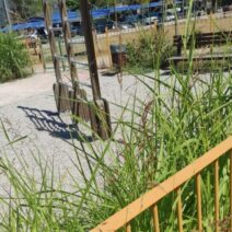 Πάτρα: Ακατάλληλη η παιδική χαρά στον ΑγιοΑλέξη ΦΩΤΟ 3 Πάτρα: Ακατάλληλη η παιδική χαρά στον ΑγιοΑλέξη ΦΩΤΟ