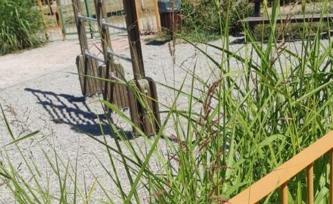 Πάτρα: Ακατάλληλη η παιδική χαρά στον ΑγιοΑλέξη ΦΩΤΟ 12 Πάτρα: Ακατάλληλη η παιδική χαρά στον ΑγιοΑλέξη ΦΩΤΟ