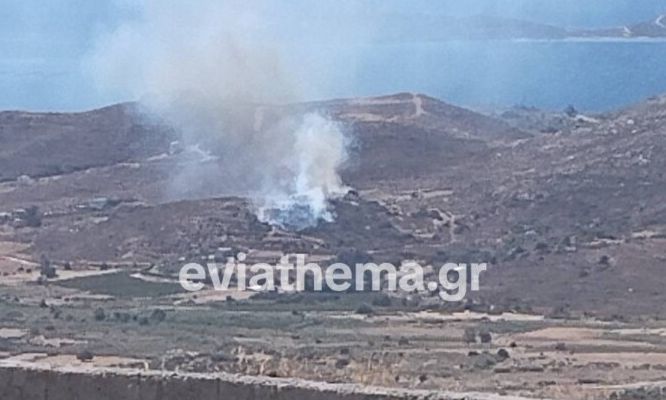 Φωτιά στην Κάρυστο - Ήχησε το 112 ΦΩΤΟ 5 Φωτιά στην Κάρυστο - Ήχησε το 112 ΦΩΤΟ