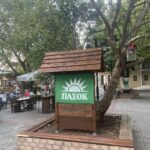Αχαΐα: Κρίση στην ύπαιθρο βλέπει το ΠΑΣΟΚ - H δραματική πτώση τιμών σε Μοσχάτο Ρίου και Ροδίτη