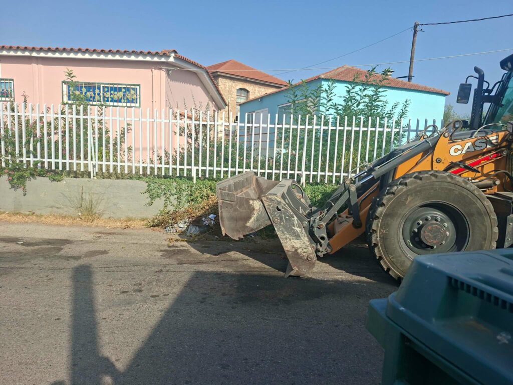 Αίγιο: Βόλτα σε πεζοδρόμια «ζούγκλα» με την καθαριότητα να επαφίεται στους κατοίκους ΒΙΝΤΕΟ-ΦΩΤΟ 8 Αίγιο: Βόλτα σε πεζοδρόμια «ζούγκλα» με την καθαριότητα να επαφίεται στους κατοίκους ΒΙΝΤΕΟ-ΦΩΤΟ