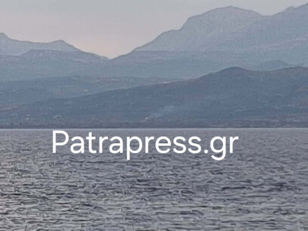 Αίγιο: Φωτιά κοντά σε οικόπεδο κινητοποίησε την Πυροσβεστική ΒΙΝΤΕΟ-ΦΩΤΟ 6 Αίγιο: Φωτιά κοντά σε οικόπεδο κινητοποίησε την Πυροσβεστική ΒΙΝΤΕΟ-ΦΩΤΟ