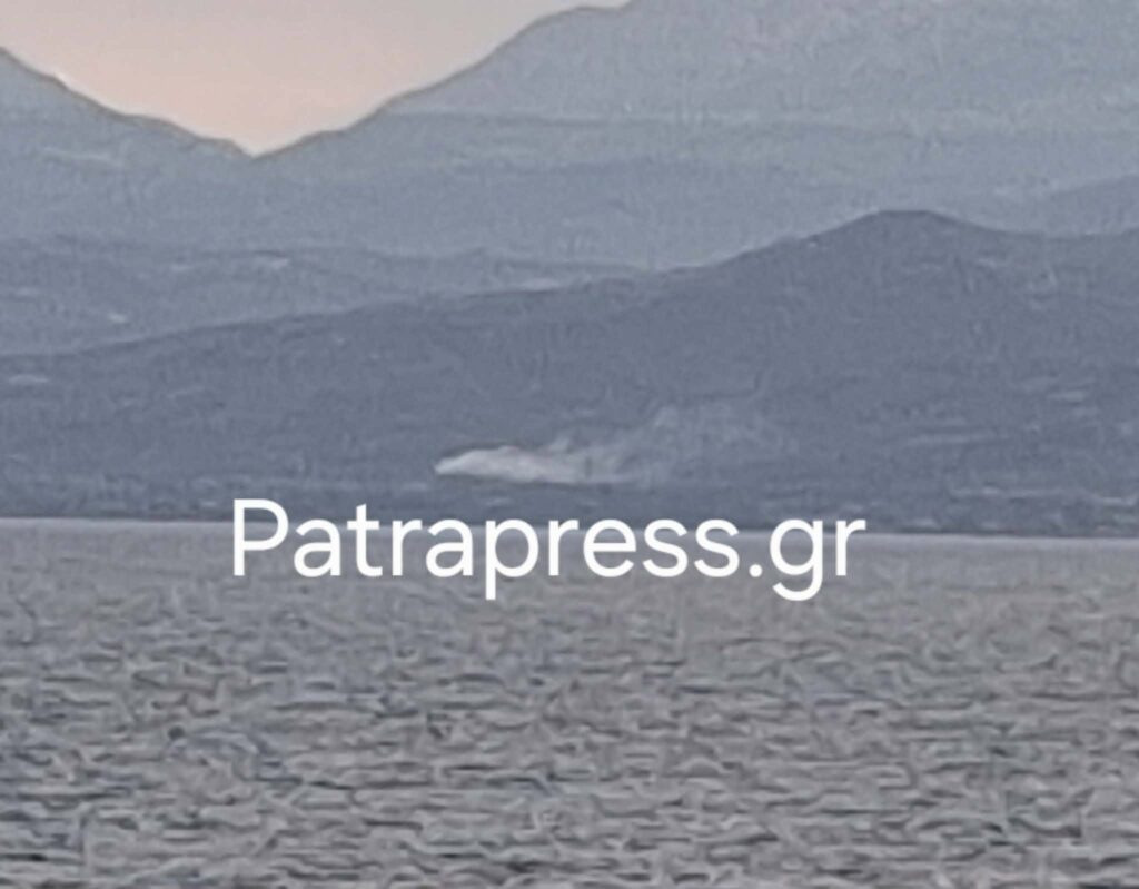 Αίγιο: Φωτιά κοντά σε οικόπεδο κινητοποίησε την Πυροσβεστική ΒΙΝΤΕΟ-ΦΩΤΟ