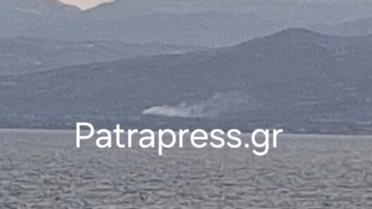 Αίγιο: Φωτιά κοντά σε οικόπεδο κινητοποίησε την Πυροσβεστική ΒΙΝΤΕΟ-ΦΩΤΟ 12 Αίγιο: Φωτιά κοντά σε οικόπεδο κινητοποίησε την Πυροσβεστική ΒΙΝΤΕΟ-ΦΩΤΟ