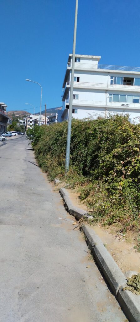 Πάτρα: Εστία κινδύνου με ακαθάριστα χόρτα στην οδό Φλέμινγκ ΦΩΤΟ
