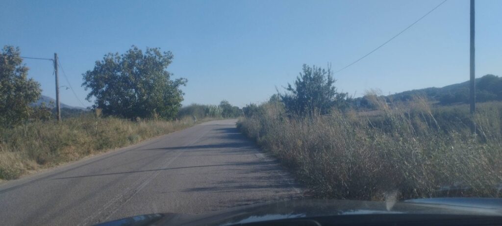 Ερύμανθος: «Καμπανάκι» οδηγών στην «111» για έλλειψη ορατότητας από χόρτα και κλαδιά ΦΩΤΟ