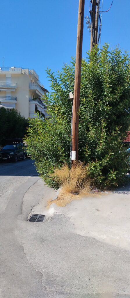 Πάτρα: Εστία κινδύνου με ακαθάριστα χόρτα στην οδό Φλέμινγκ ΦΩΤΟ