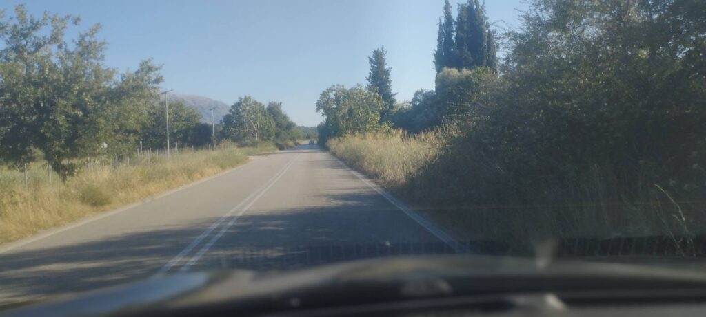 Ερύμανθος: «Καμπανάκι» οδηγών στην «111» για έλλειψη ορατότητας από χόρτα και κλαδιά ΦΩΤΟ