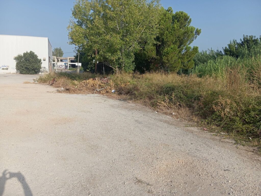 Ιτιές: Στο «στο «κόκκινο» η αντίδραση κατοίκων για ακαθάριστα οικόπεδα και εστίες κινδύνου ΦΩΤΟ