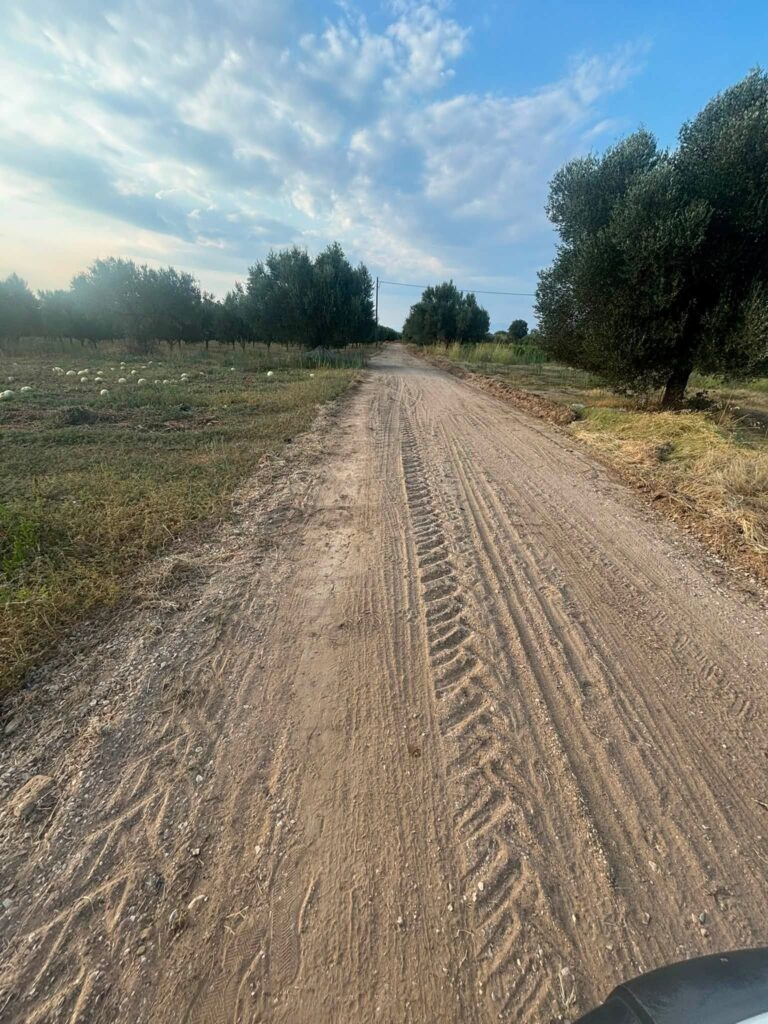 Δύμη: Δύσκολη επιχείρηση για αγροτικούς δρόμους στα κατσάβραχα και τα βάτα ΒΙΝΤΕΟ-ΦΩΤΟ