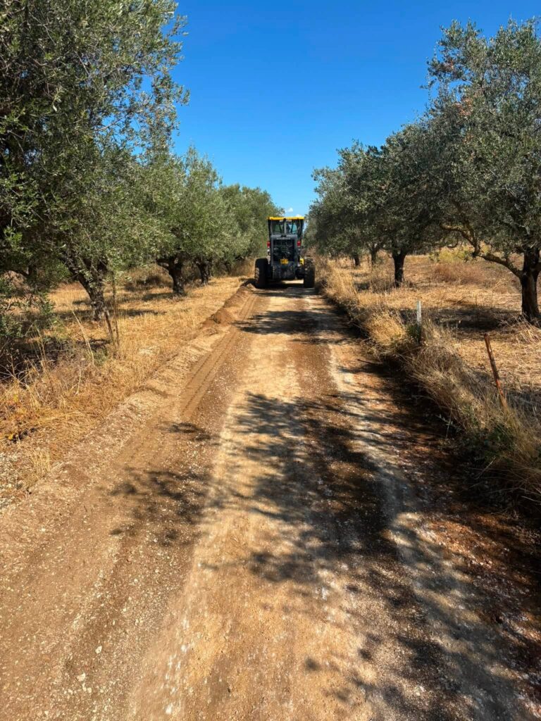 Δύμη: Δύσκολη επιχείρηση για αγροτικούς δρόμους στα κατσάβραχα και τα βάτα ΒΙΝΤΕΟ-ΦΩΤΟ