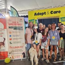 Υιοθεσίες αδέσποτων από την Αιγιάλεια στο «Dog Festival 2026» ΦΩΤΟ 2 Υιοθεσίες αδέσποτων από την Αιγιάλεια στο «Dog Festival 2026» ΦΩΤΟ
