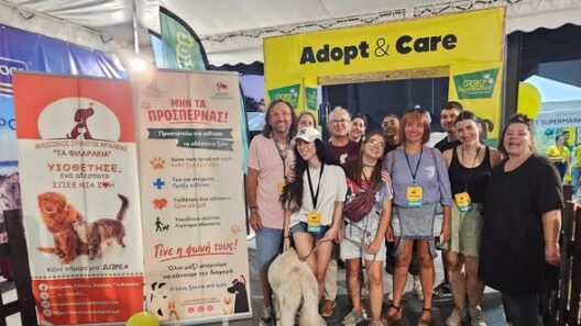 Υιοθεσίες αδέσποτων από την Αιγιάλεια στο «Dog Festival 2026» ΦΩΤΟ 24 Υιοθεσίες αδέσποτων από την Αιγιάλεια στο «Dog Festival 2026» ΦΩΤΟ