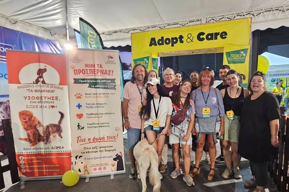 Υιοθεσίες αδέσποτων από την Αιγιάλεια στο «Dog Festival 2026» ΦΩΤΟ