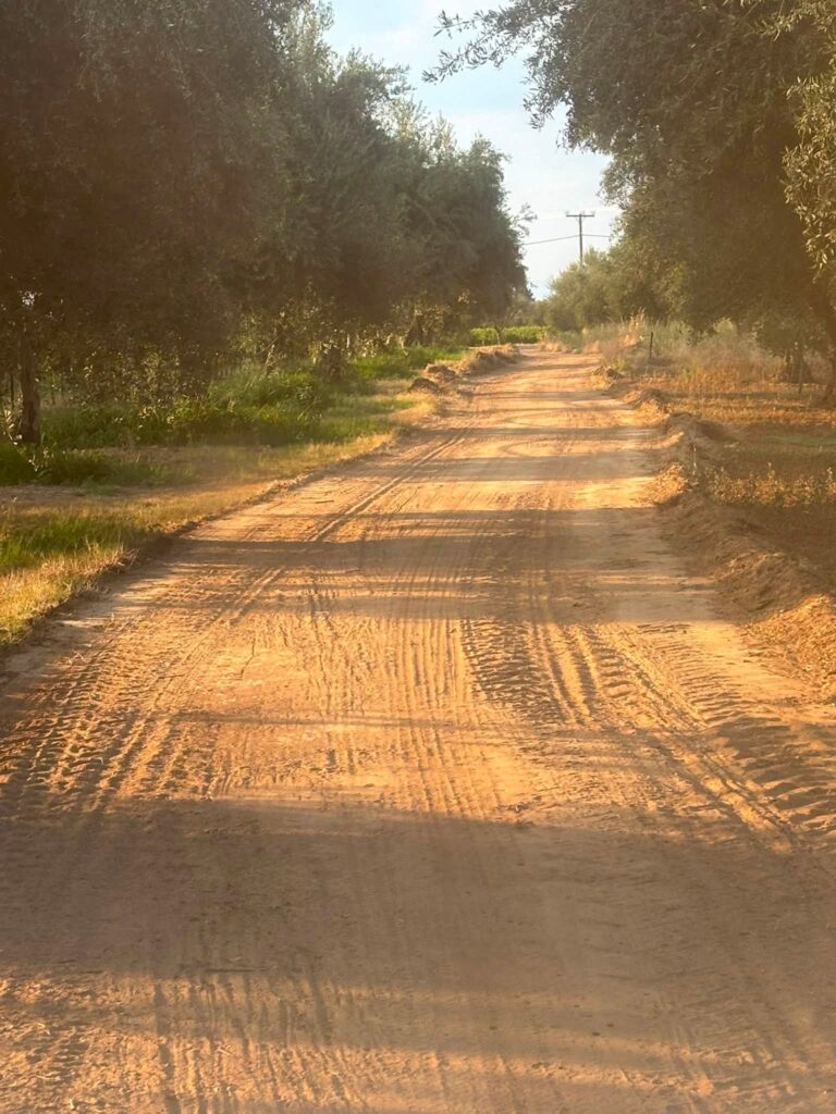 Δύμη: Δύσκολη επιχείρηση για αγροτικούς δρόμους στα κατσάβραχα και τα βάτα ΒΙΝΤΕΟ-ΦΩΤΟ