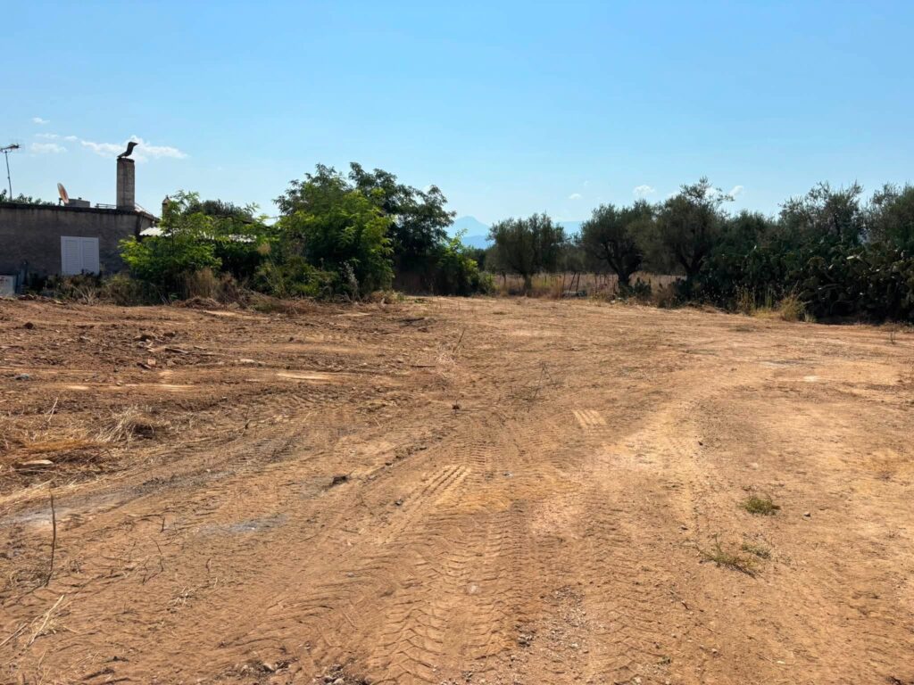 Δύμη: Δύσκολη επιχείρηση για αγροτικούς δρόμους στα κατσάβραχα και τα βάτα ΒΙΝΤΕΟ-ΦΩΤΟ 10 Δύμη: Δύσκολη επιχείρηση για αγροτικούς δρόμους στα κατσάβραχα και τα βάτα ΒΙΝΤΕΟ-ΦΩΤΟ