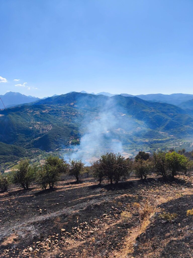 Καλάβρυτα: Δασική πυρκαγιά στο Μουρίκι με άμεση κινητοποίηση της Πυροσβεστικής ΦΩΤΟ