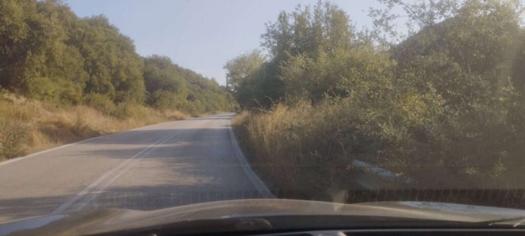 Ερύμανθος: «Καμπανάκι» για την Εθνική οδό «111» από χόρτα και κλαδιά ΦΩΤΟ