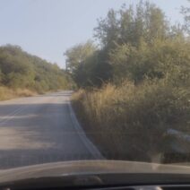 Ερύμανθος: «Καμπανάκι» για την Εθνική οδό «111» από χόρτα και κλαδιά ΦΩΤΟ