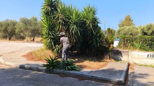 Ρίο: Εργασίες πρασίνου και καθαριότητας στην Πανεπιστημιούπολη ΦΩΤΟ
