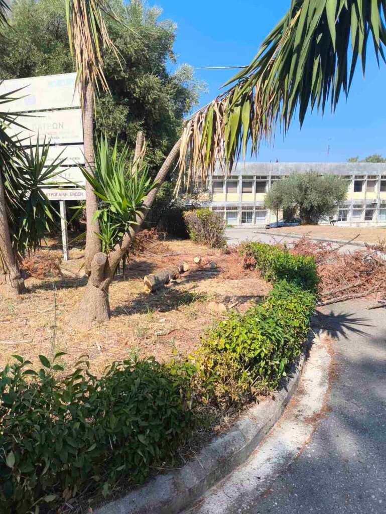 Ρίο: Εργασίες πρασίνου και καθαριότητας στην Πανεπιστημιούπολη ΦΩΤΟ