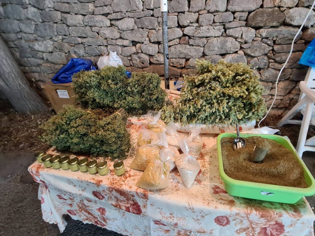 Η ιστορική εμποροζωοπανήγυρη στα Τριπόταμα Αχαΐας ΦΩΤΟ