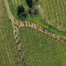 Επιστρέφει το «Koumaria Trail Series» στο Πετρωτό Πατρών ΦΩΤΟ