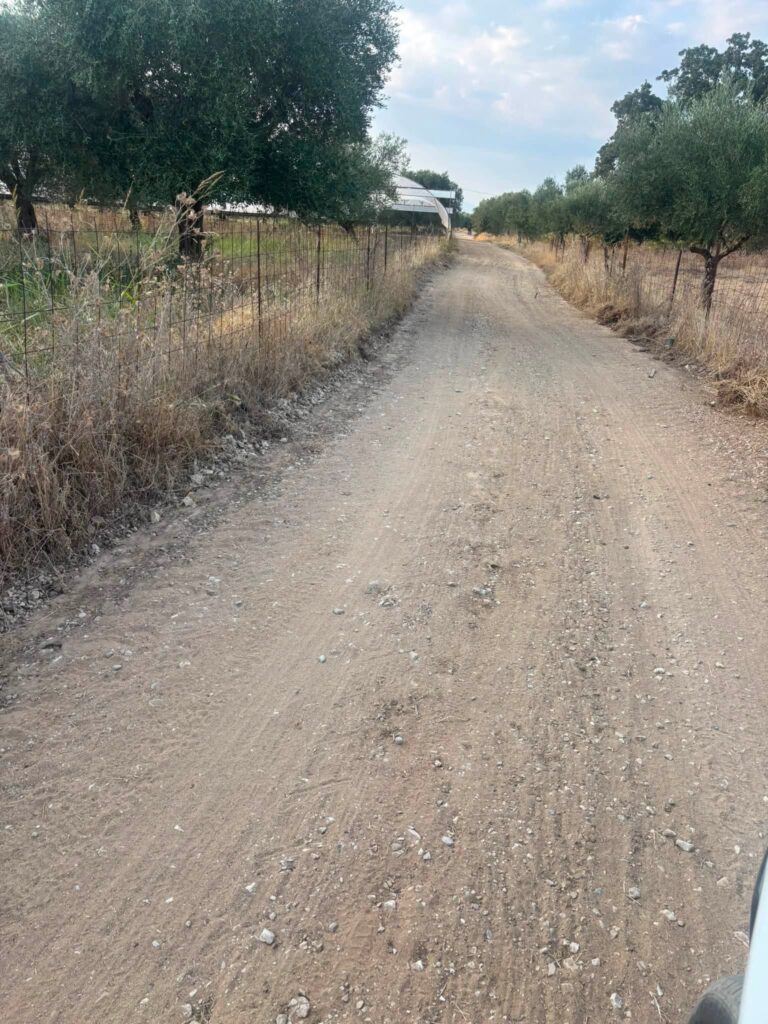 Δύμη: Δύσκολη επιχείρηση για αγροτικούς δρόμους στα κατσάβραχα και τα βάτα ΒΙΝΤΕΟ-ΦΩΤΟ 25 Δύμη: Δύσκολη επιχείρηση για αγροτικούς δρόμους στα κατσάβραχα και τα βάτα ΒΙΝΤΕΟ-ΦΩΤΟ