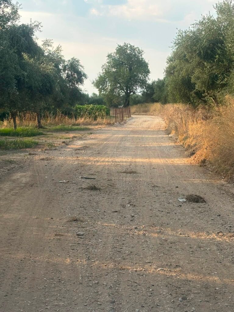 Δύμη: Δύσκολη επιχείρηση για αγροτικούς δρόμους στα κατσάβραχα και τα βάτα ΒΙΝΤΕΟ-ΦΩΤΟ
