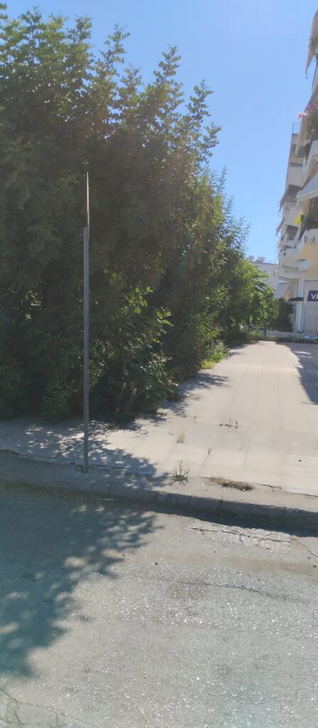 Πάτρα: Εστία κινδύνου με ακαθάριστα χόρτα στην οδό Φλέμινγκ ΦΩΤΟ 10 Πάτρα: Εστία κινδύνου με ακαθάριστα χόρτα στην οδό Φλέμινγκ ΦΩΤΟ