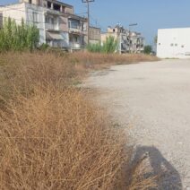 Ιτιές: Στο «στο «κόκκινο» η αντίδραση κατοίκων για ακαθάριστα οικόπεδα και εστίες κινδύνου ΦΩΤΟ