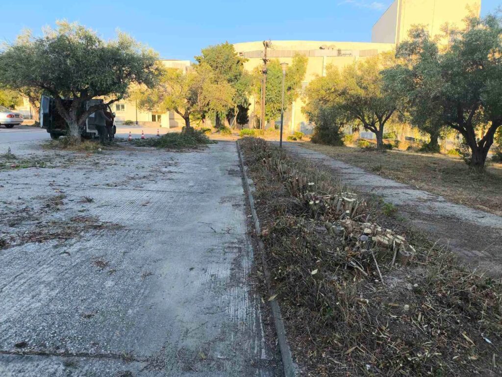 Ρίο: Εργασίες καθαριότητας και καλλωπισμού στην Πανεπιστημιούπολη ΦΩΤΟ