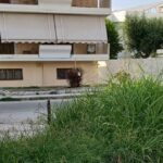 Πάτρα: «Κομμένο και ραμμένο» στα μέτρα της εγκατάλειψης το γκαζόν στην πλατεία Παναχαϊκής ΦΩΤΟ