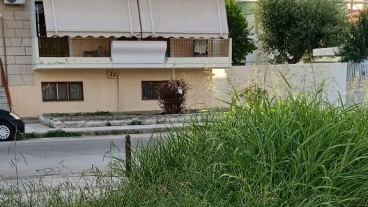 Πάτρα: «Κομμένο και ραμμένο» στα μέτρα της εγκατάλειψης το γκαζόν της πλατείας Παναχαϊκής ΦΩΤΟ 14 Φωτογραφία στην πλατεία Πανάχαϊκης στην Πάτρα
