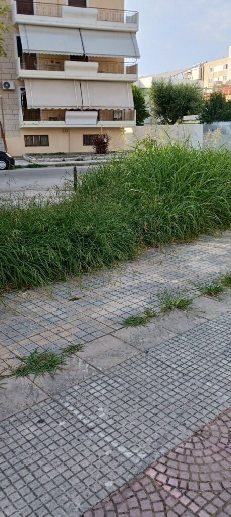 «Η αντιπλημμυρική προστασία και η θωράκιση της δημόσιας υγείας»