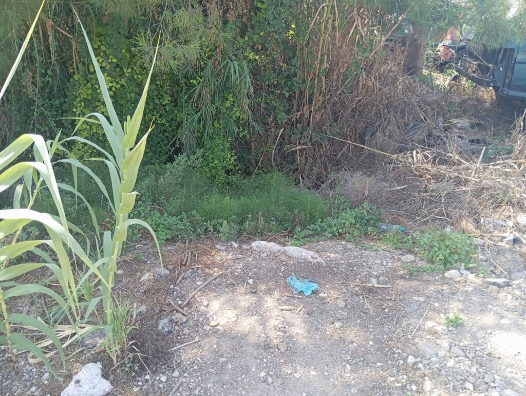 Ιτιές: Ο,τι απαγορεύεται το έχει διάσπαρτα η παρατημένη παραλιακή συνοικία της Πάτρας ΦΩΤΟ