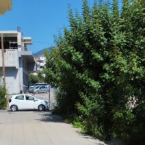 Πάτρα: Εστία κινδύνου με ακαθάριστα χόρτα στην οδό Φλέμινγκ ΦΩΤΟ 1 Πάτρα: Εστία κινδύνου με ακαθάριστα χόρτα στην οδό Φλέμινγκ ΦΩΤΟ