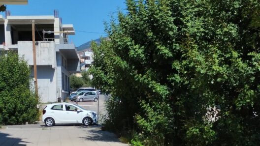 Πάτρα: Εστία κινδύνου με ακαθάριστα χόρτα στην οδό Φλέμινγκ ΦΩΤΟ 13 Πάτρα: Εστία κινδύνου με ακαθάριστα χόρτα στην οδό Φλέμινγκ ΦΩΤΟ
