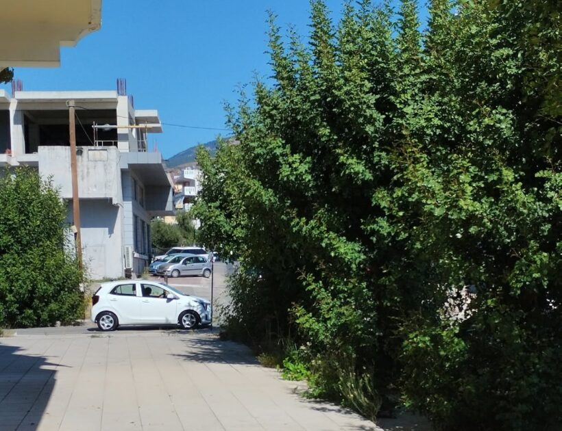 Πάτρα: Εστία κινδύνου με ακαθάριστα χόρτα στην οδό Φλέμινγκ ΦΩΤΟ 4 Πάτρα: Εστία κινδύνου με ακαθάριστα χόρτα στην οδό Φλέμινγκ ΦΩΤΟ